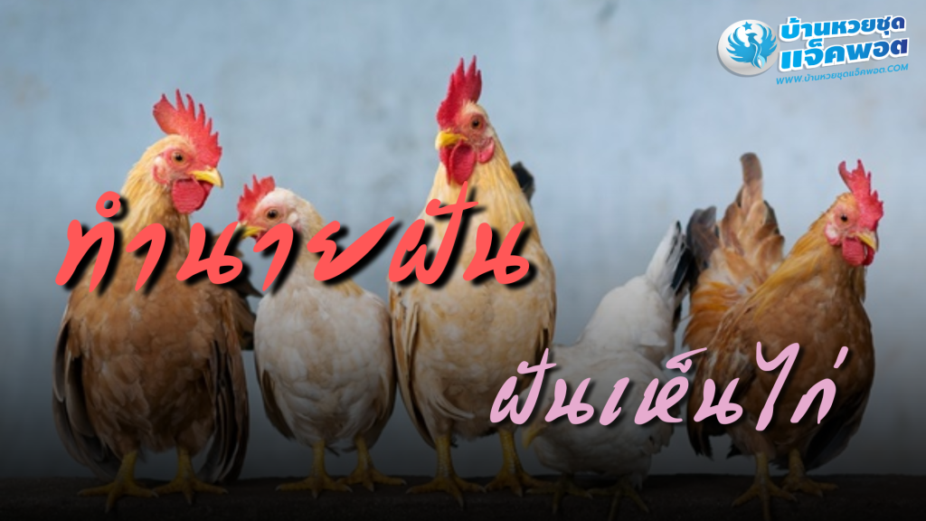 ฝันเห็นไก่